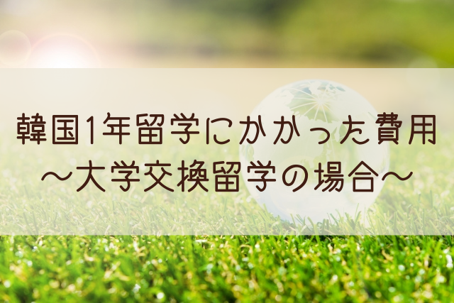 韓国1年留学にかかった費用 大学交換留学の場合 語学大好き ちーのブログ