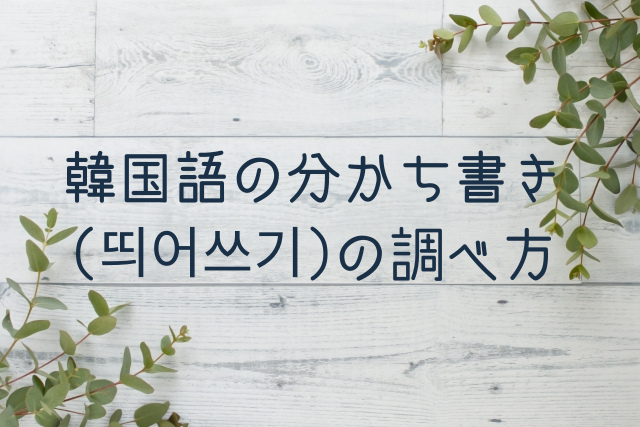 韓国語の分かち書き 띄어쓰기 の調べ方 語学大好き ちーのブログ