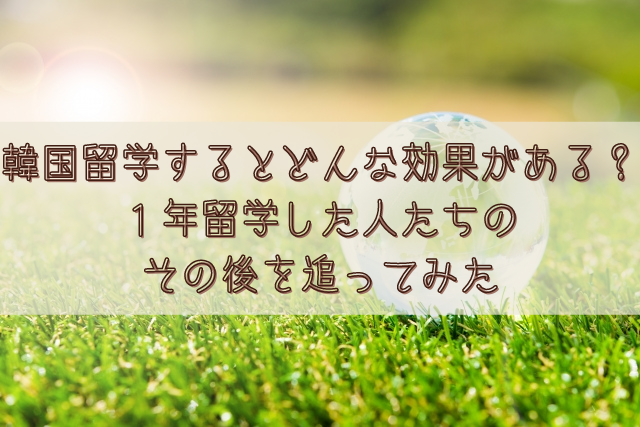 韓国留学するとどんな効果がある １年留学した人たちのその後を追ってみた 語学大好き ちーのブログ