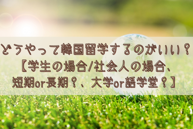 どうやって韓国留学するのがいい 学生の場合 社会人の場合 短期or長期 大学or語学堂どっちがいい 語学大好き ちーのブログ